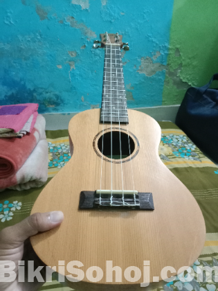 Ukulele Model-02
